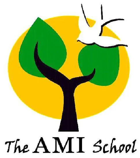 The Ami School
