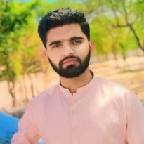 Muhammad Haseeb Yaseen